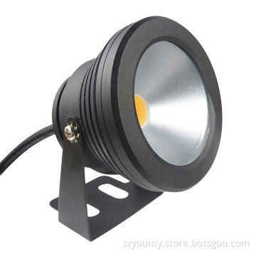 10W 12V underwater Cool white IP68 fountain pool Lamp, silver or black cover body